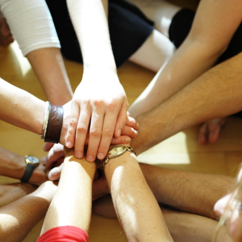 Der Berufsverband der TanztherapeutInnen Deutschlands